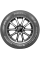 Шина летняя автомобильная Ikon Autograph Eco C3 195/75 R16C 107R