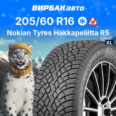 Зимние шины Nokian Tyres Hakkapeliitta R5 205/60R16 96R XL