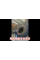 Автомобильная зимняя шина MICHELIN X-ICE SNOW SUV 215/65 R16 102T