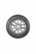 Шина зимняя NOKIAN TYRES WR SUV 4 215/70 R16 100H нешипованная