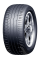 Шина Evergreen DYNACONTROL ES880 R19 225/55 99V