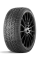 Шина зимняя нешипованная DoubleStar 225/40/18 H 92 DW08 для легковых автомобилей 3PN02254018E000102