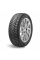 165/80r13 83t ice blazer wst3 tl (шип.)