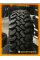 Всесезонные автомобильные шины Барнаул Forward Safari 540 235/75 R15 105P