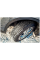 Шины Nokian Hakkapeliitta 9 SUV 235/65R18 110T Шип