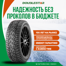 Шины зимние Автомобильная шина DoubleStar DW01 215/50 95T