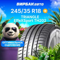 Летние шины TRIANGLE EffeXSport TH202 245/35R18 92Y XL