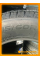 Летние автомобильные шины Windforce Catchfors H/P 215/60 R16 95V