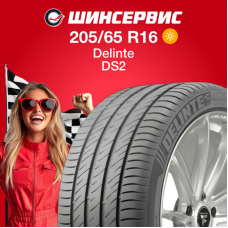 Летняя шина Delinte DS2 205/65 R16 95V
