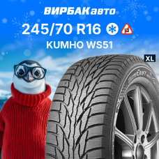 Зимние шины KUMHO WS51 245/70R16 111T XL