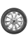 Ikon Autograph Ultra 2 Лето Нешипованные 215/50 R17 95W [XL]
