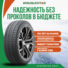 Шины зимние Автомобильная шина DoubleStar DW16 265/40 106T