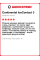 Зимняя шипованная шина Continental IceContact 3 255/55 R20 110T