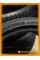 Летние автомобильные шины Windforce Catchfors UHP Pro 195/40 ZR17 81W XL