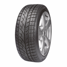 Шина Evergreen EW66 225/55R16 99H