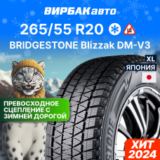 Зимние шины BRIDGESTONE Blizzak DM-V3 265/55R20 113T XL