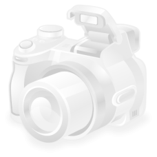 Автошина r19 25555 continental vikingcontact 7 111t зима, CONTINENTAL 0345142 (1 шт.)