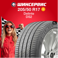 Летняя шина Delinte DS2 205/50 R17 93W