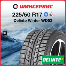 Зимняя шипованная шина Delinte Winter WD52 225/50 R17 98H