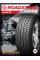 Зимние автомобильные шины Roadstone Euro win 700 195/70 R15C 104/102R