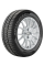PIRELLI 2571800 Пирелли 245/35/21 W 96 WSZ s3 XL (MGT) старше 3-х лет