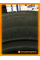 Летние автомобильные шины Rydanz Roadster R02 235/55 R17 99V