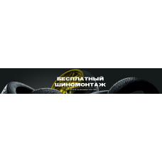 Шина зимняя автомобильная Hankook Winter i Pike X W429A 225/55 R18 102T