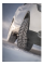 Nokian Nordman 7 Suv 265/65 R17 116T (Шип) NOKIAN TYRES арт. TS82190